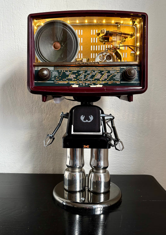 Robot Lady P.