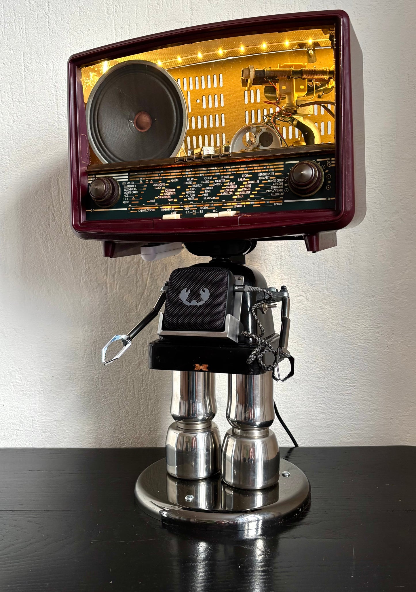 Robot Lady P.